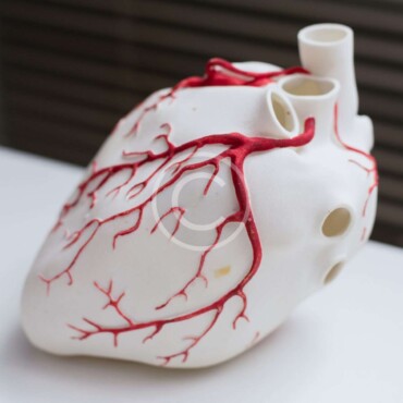 3D science project - custom printed apparel by AwesomizedTees
