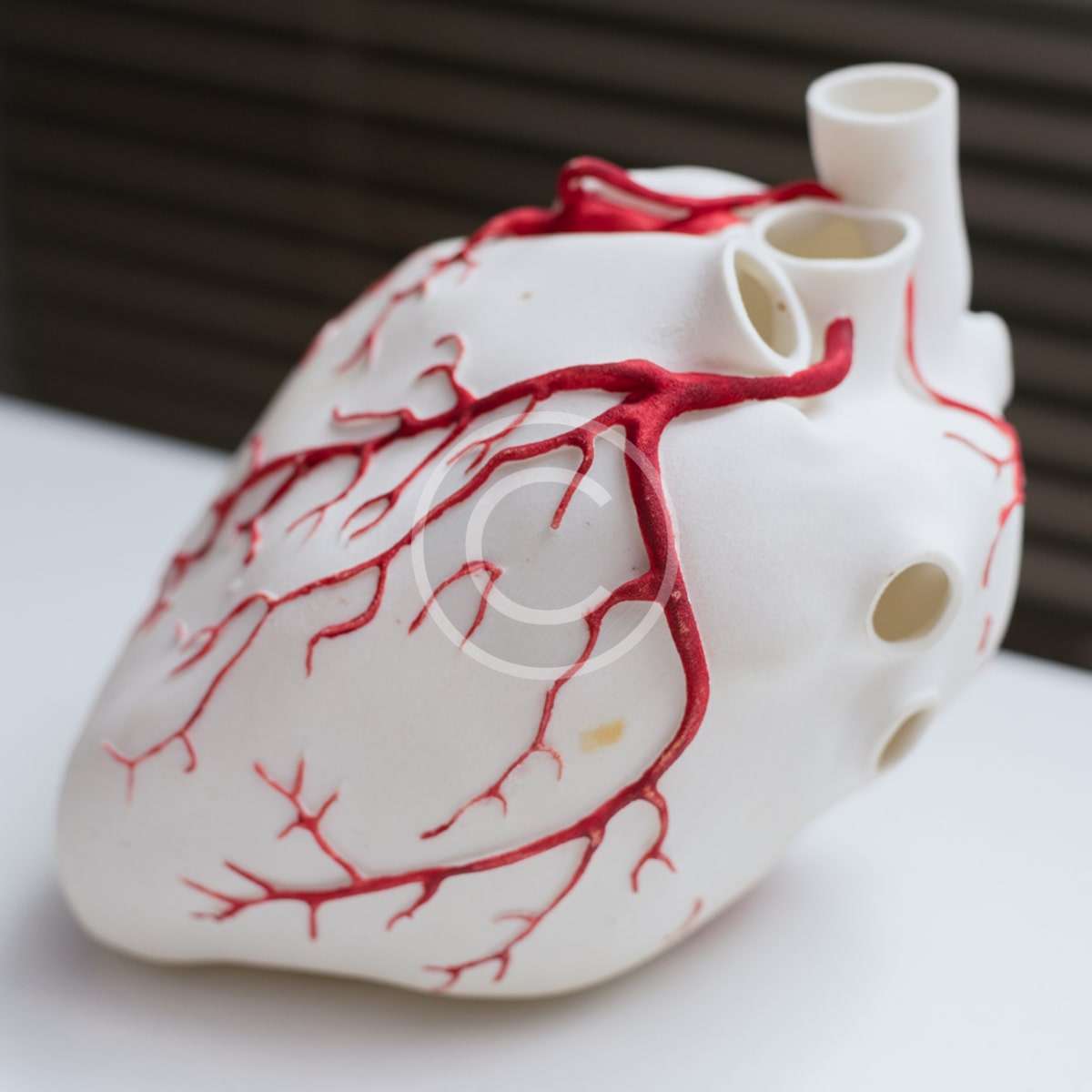 3D science project - custom printed apparel by AwesomizedTees